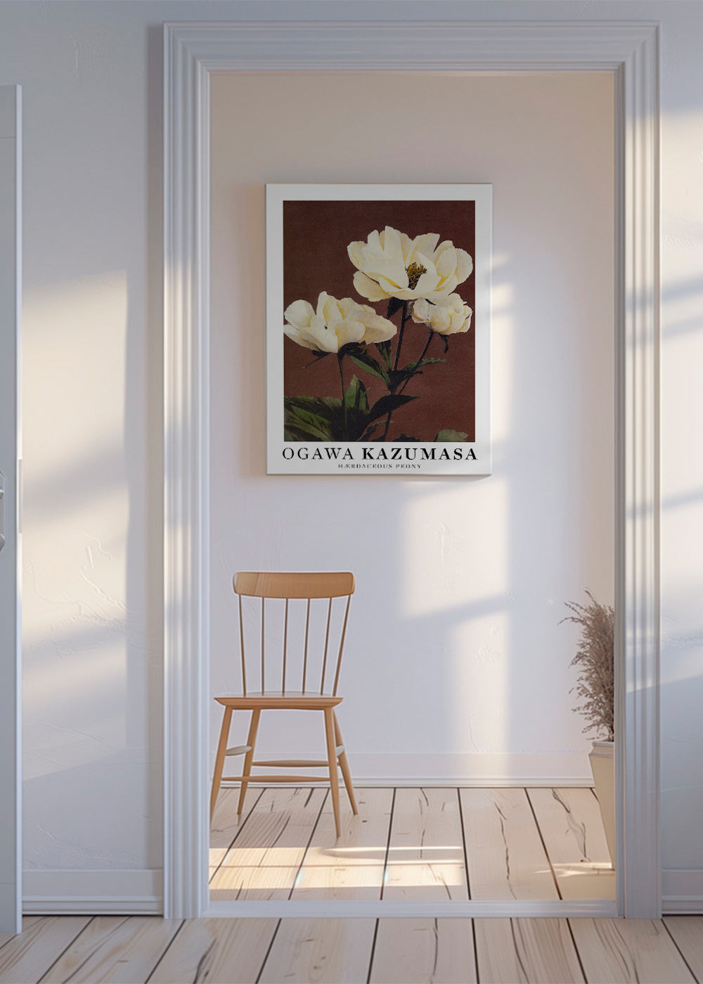 Plakat botaniczny biała piwonia