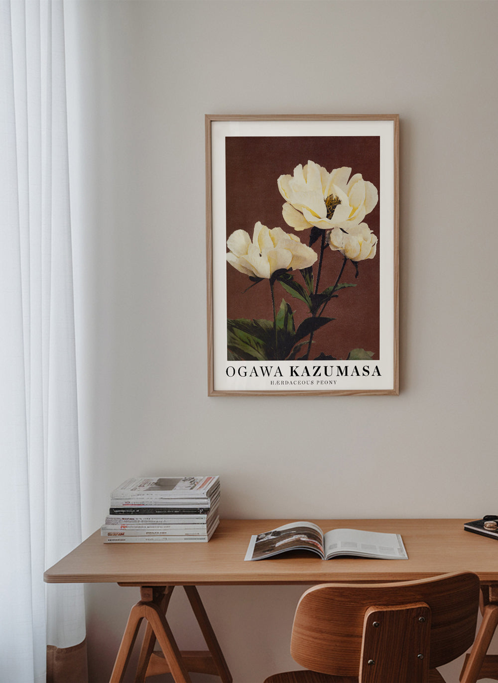 Plakat botaniczny biała piwonia