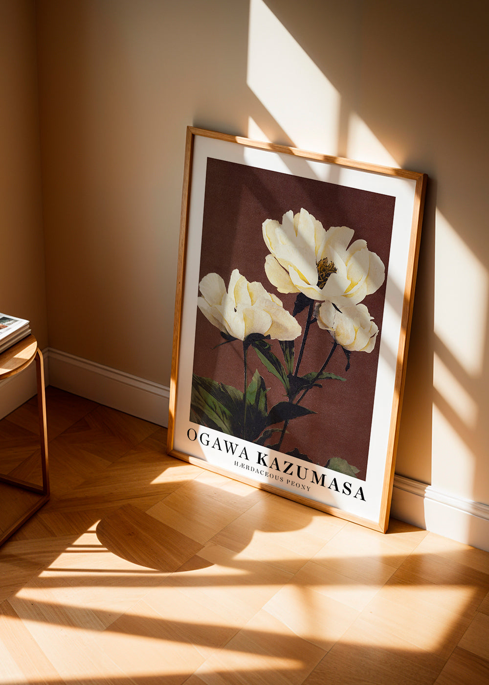 Plakat botaniczny biała piwonia