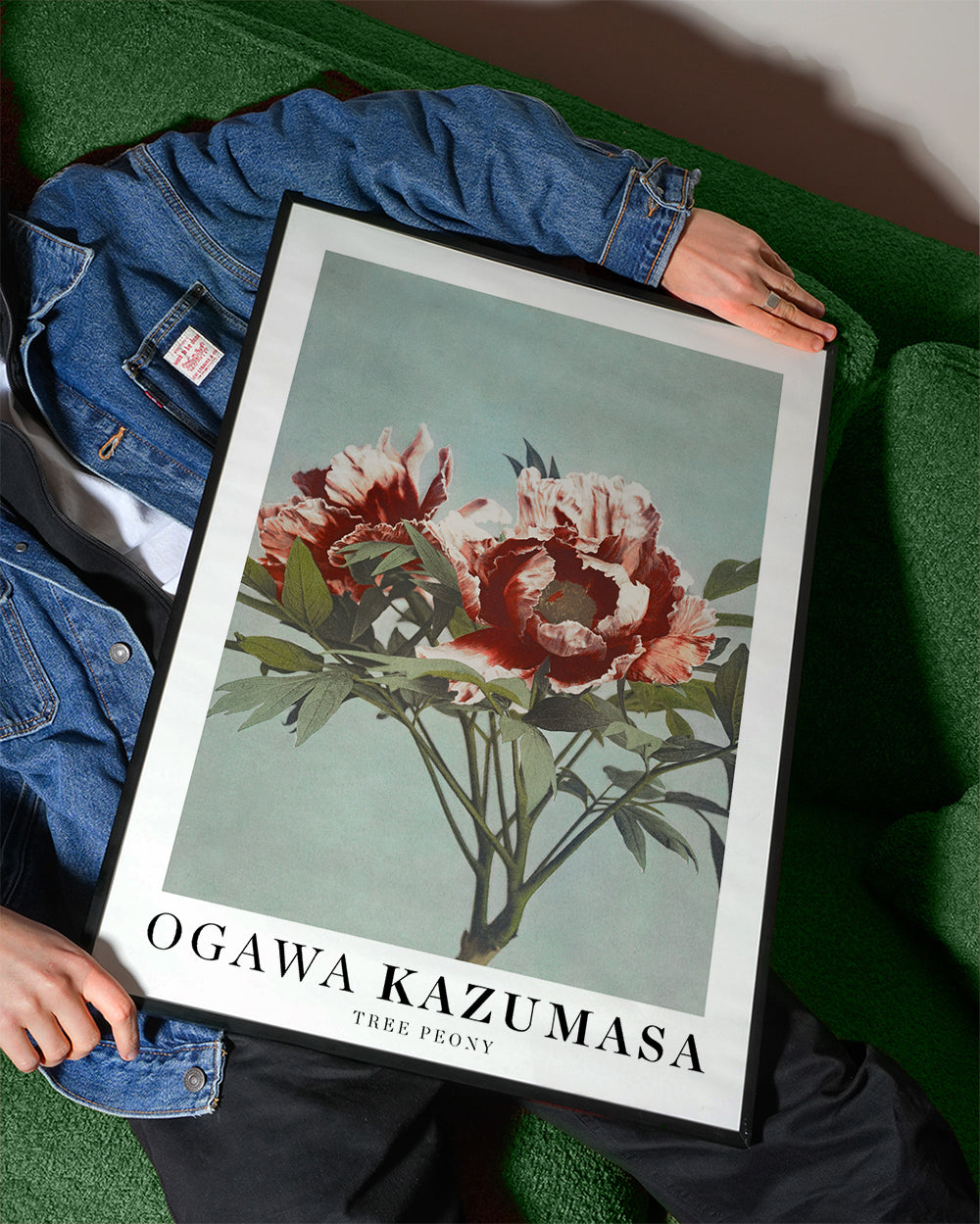 Plakat botaniczny Czerwona piwonia na aqua