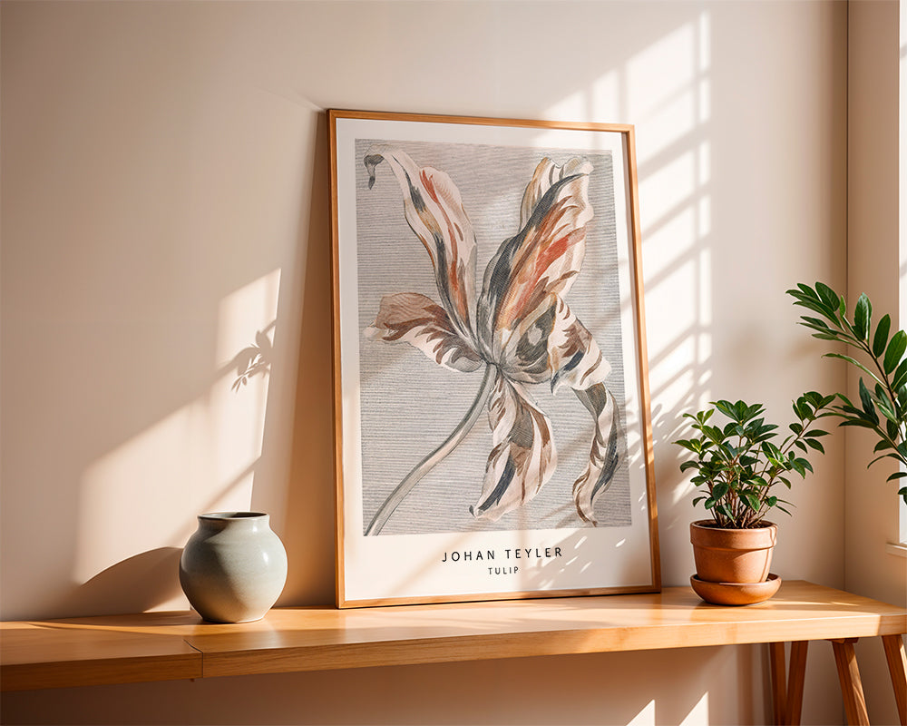 Plakat botaniczny: szkic tulipana