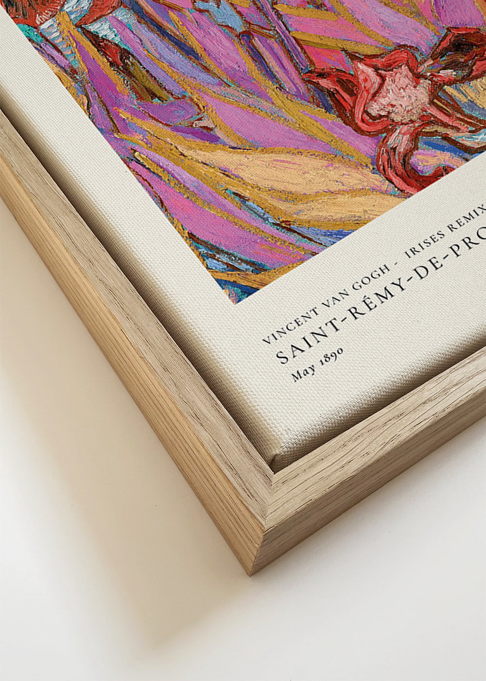 Plakat botaniczny: Żywe irysy