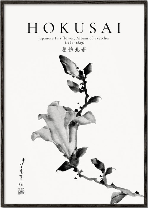Plakat botaniczny Hokusai: japoński irys tuszem