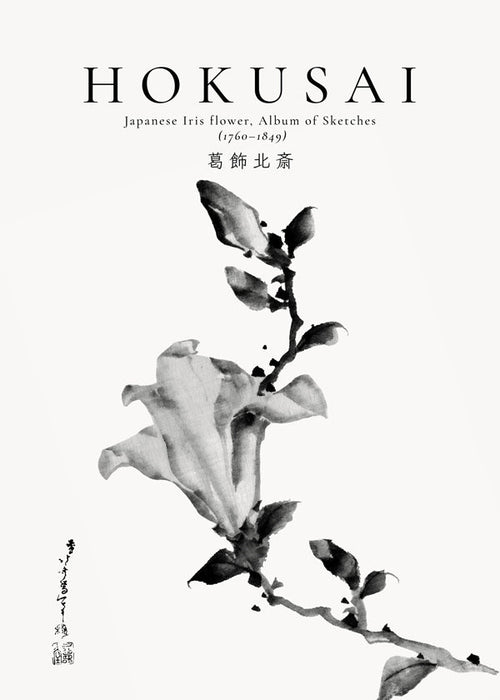 Plakat botaniczny Hokusai: japoński irys tuszem