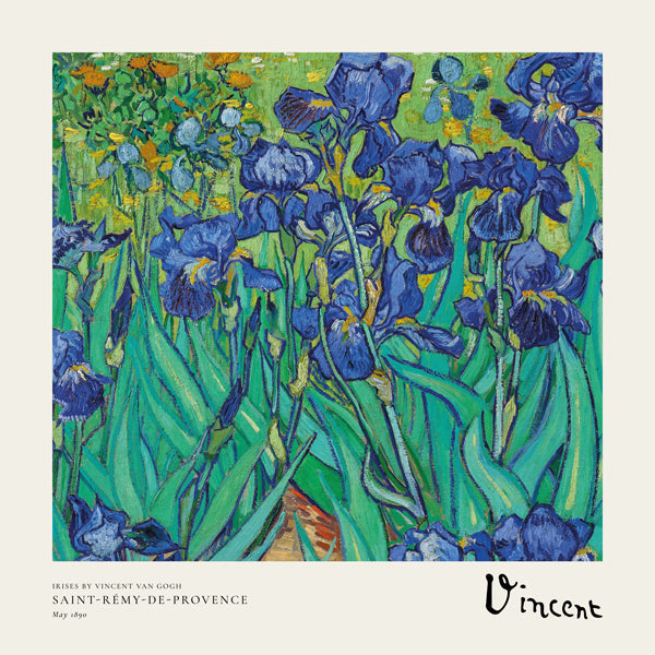Plakat botaniczny z niebieskimi irysami