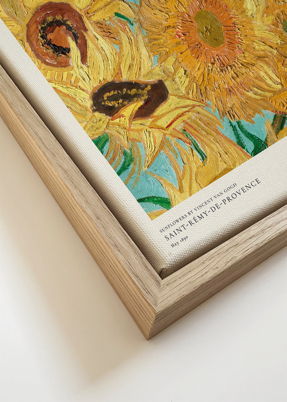 Plakat botaniczny Słoneczniki w impasto