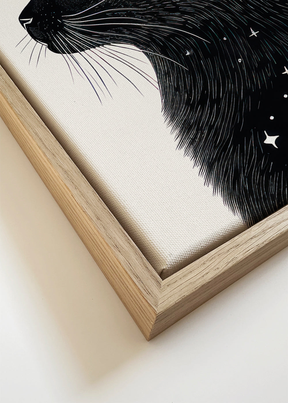 Meow (Cat portrait)