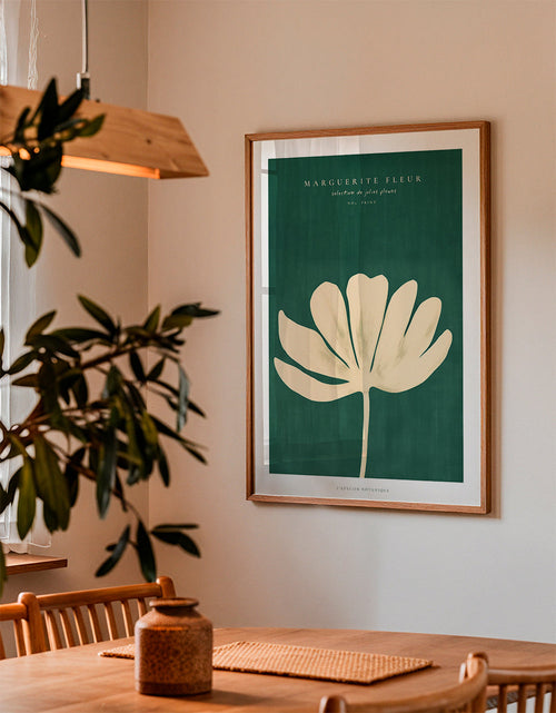 Plakat botaniczny margaretka w kremowej sylwetce