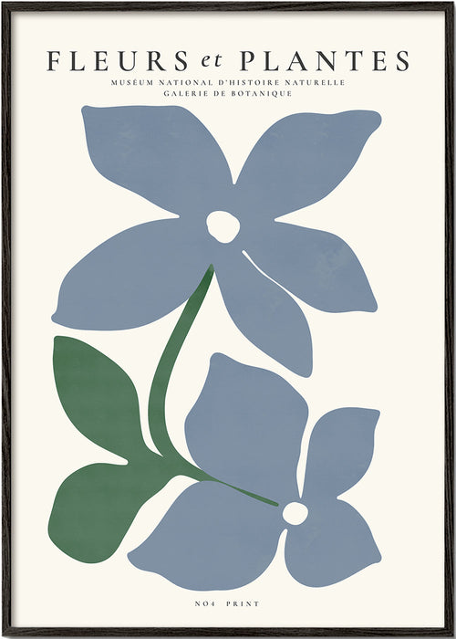 Plakat botaniczny niebieskie kwiaty minimal