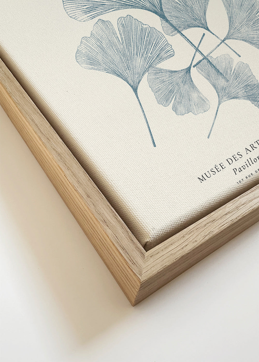 Plakat botaniczny Ginkgo linoryt niebieski