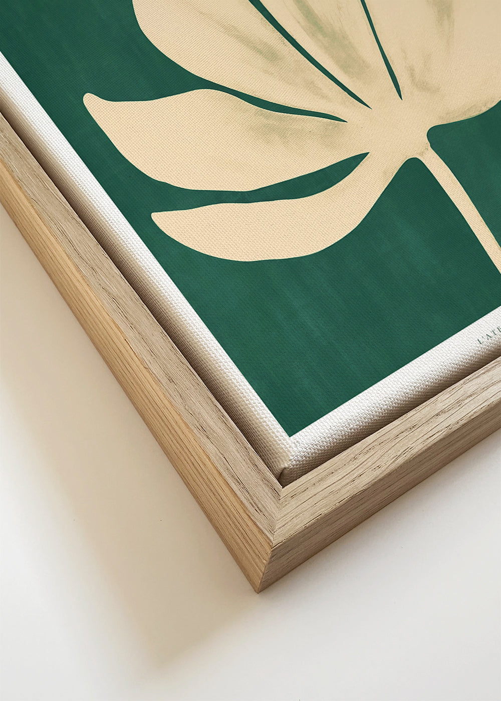 Plakat botaniczny: stokrotka na zielonym tle