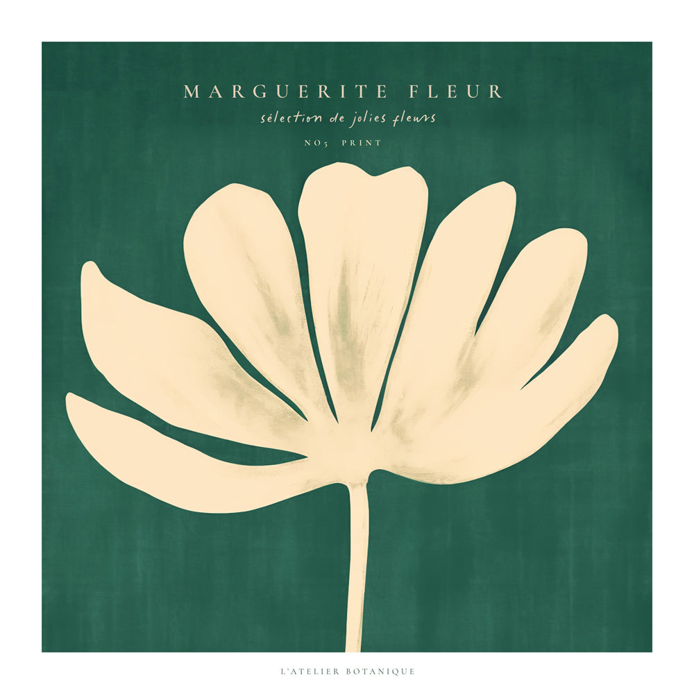 Plakat botaniczny: stokrotka na zielonym tle