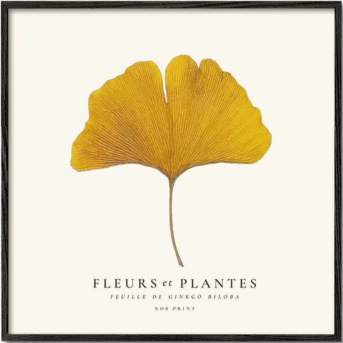 Plakat botaniczny liść miłorzębu żółty
