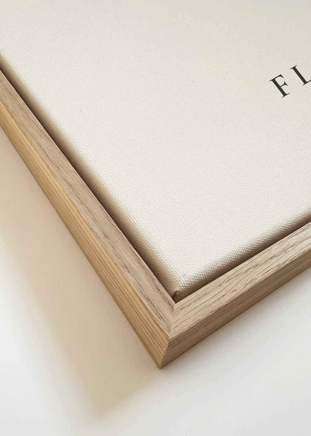 Botanical, Fleurs et plantes -Ginkgo biloba leaf - SQUARE - Framed canvas detail