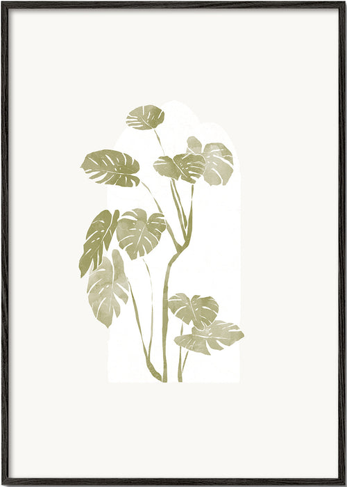 Plakat botaniczny z monstery w stylu