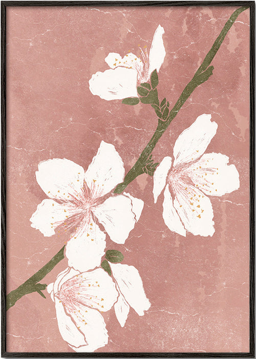 Plakat botaniczny z kwiatem na różowym tle – Black Frame