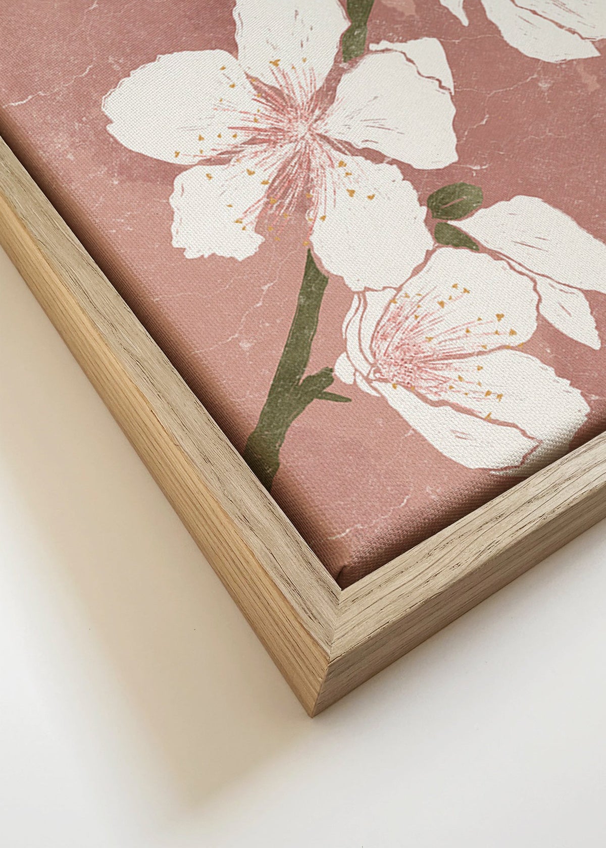 Plakat botaniczny z kwiatem na różowym tle – Canvas detail
