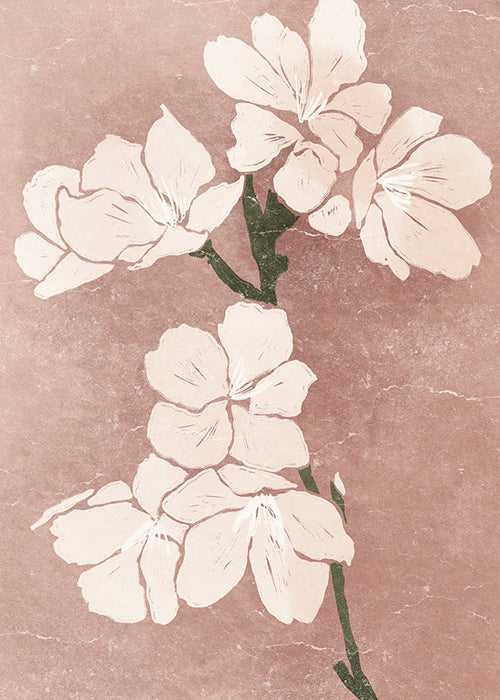 Plakat botaniczny różowe kwiaty z vintage fakturą