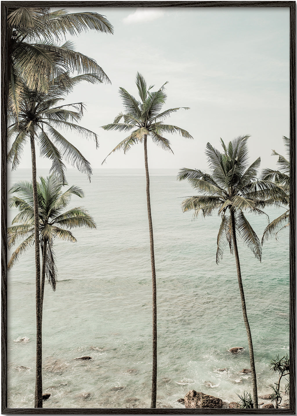 Tropical Dreams