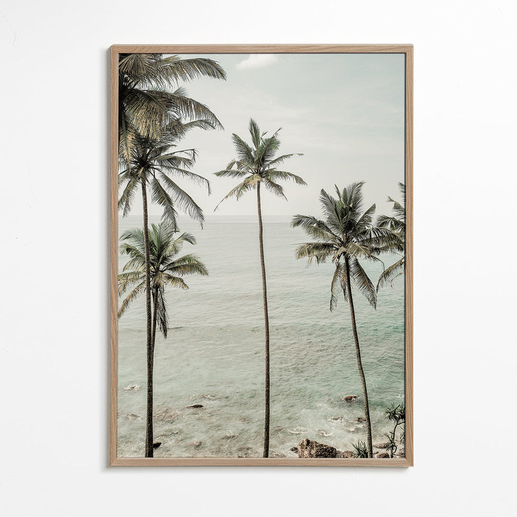 Tropical Dreams