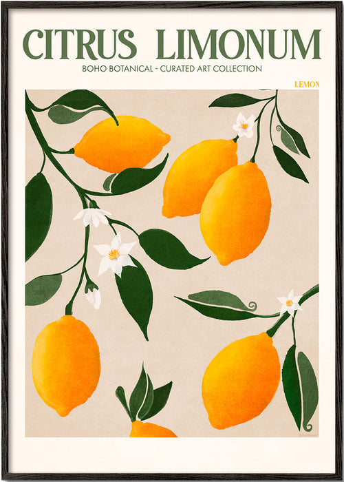Plakat botaniczny cytryny na gałęzi