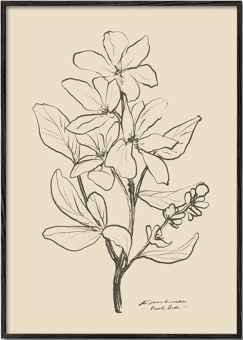 Plakat botaniczny — kwiat w linii