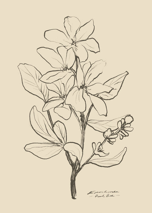 Plakat botaniczny — kwiat w linii