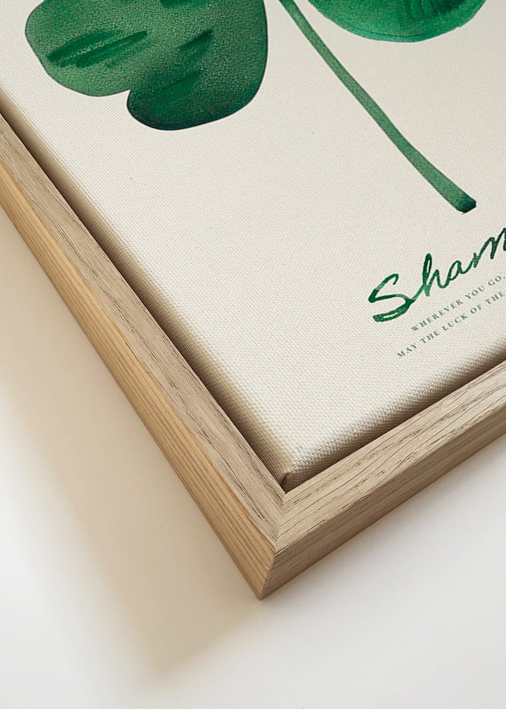Plakat botaniczny Shamrock koniczyna akwarela