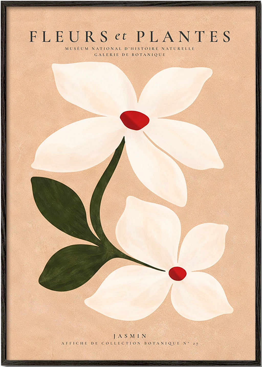 Plakat botaniczny jaśmin na beżowym tle