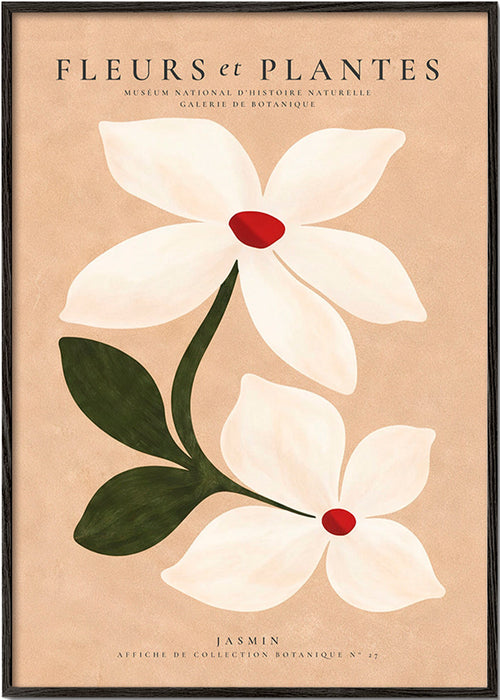 Plakat botaniczny jaśmin na beżowym tle