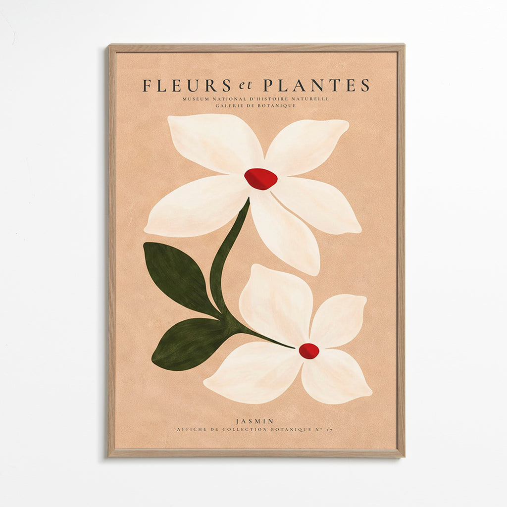 Plakat botaniczny jaśmin na beżowym tle