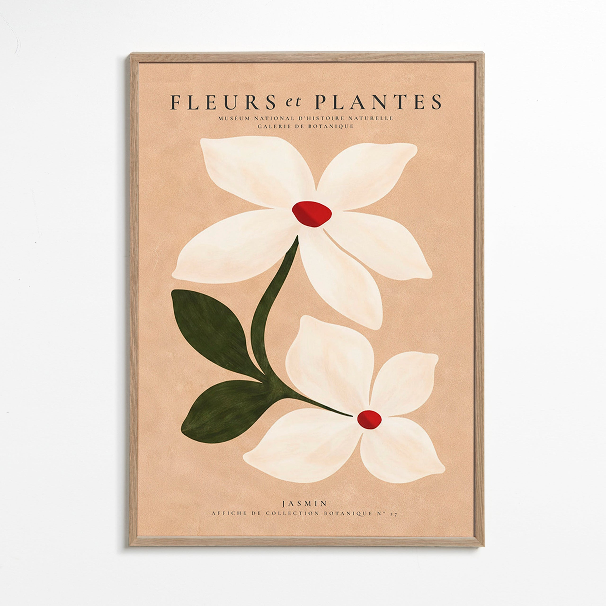 Plakat botaniczny jaśmin na beżowym tle