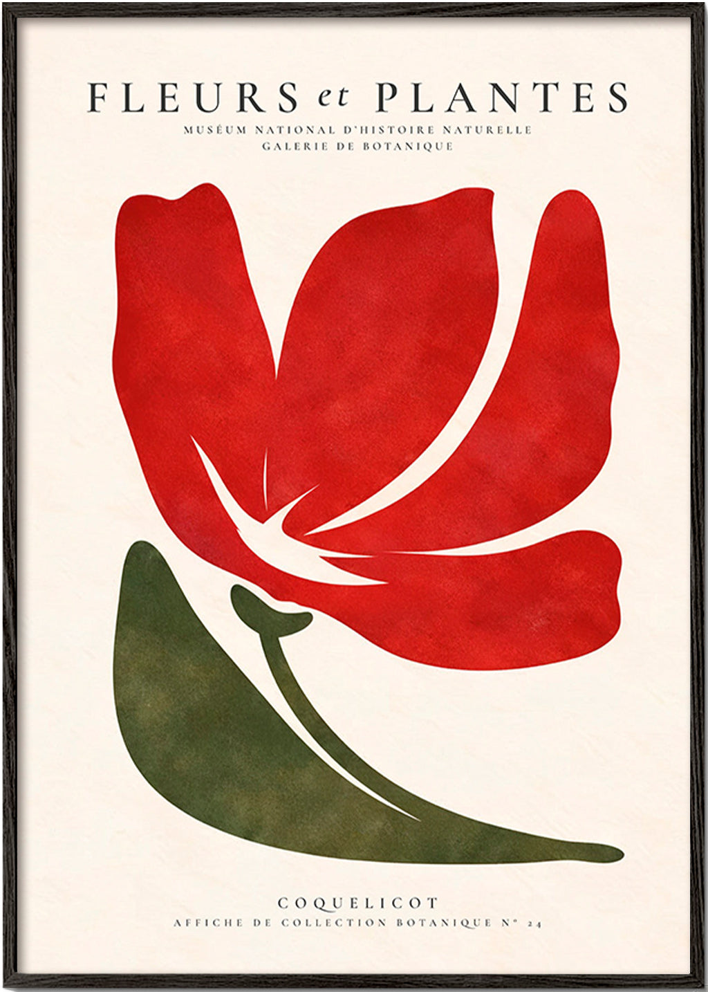 Plakat botaniczny z czerwonym makiem w stylu