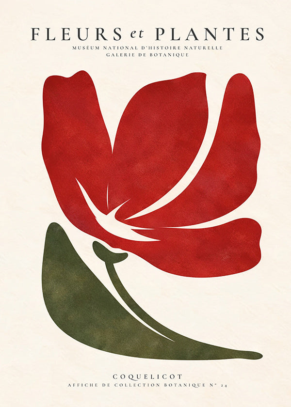 Plakat botaniczny z czerwonym makiem w stylu