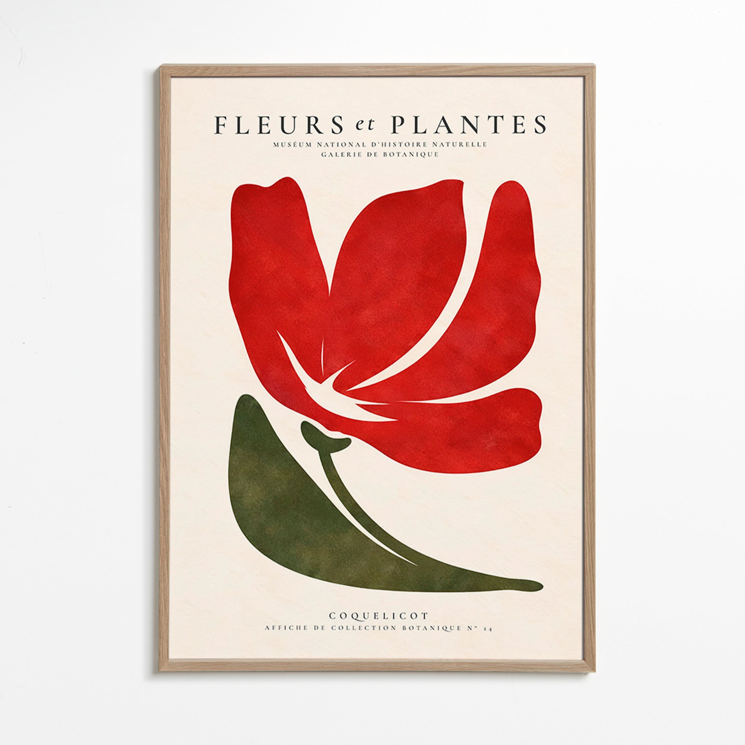 Plakat botaniczny z czerwonym makiem w stylu