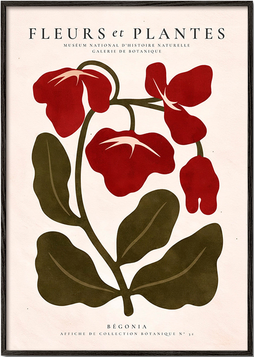 Plakat botaniczny: Czerwona begonia stylizowana