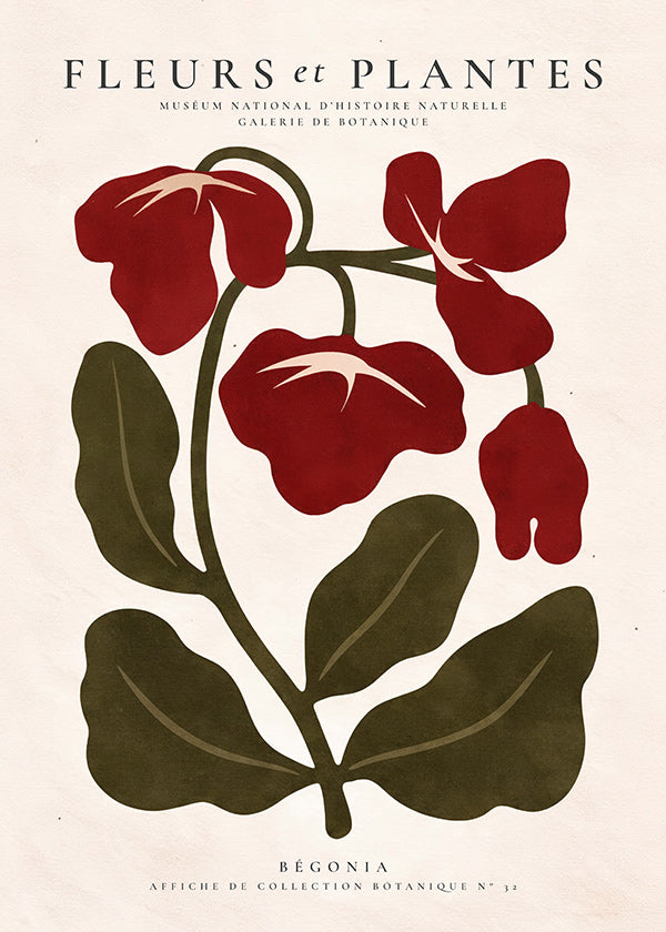 Plakat botaniczny: Czerwona begonia stylizowana