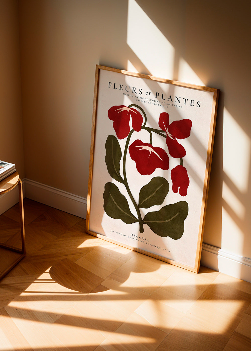 Plakat botaniczny: Czerwona begonia stylizowana