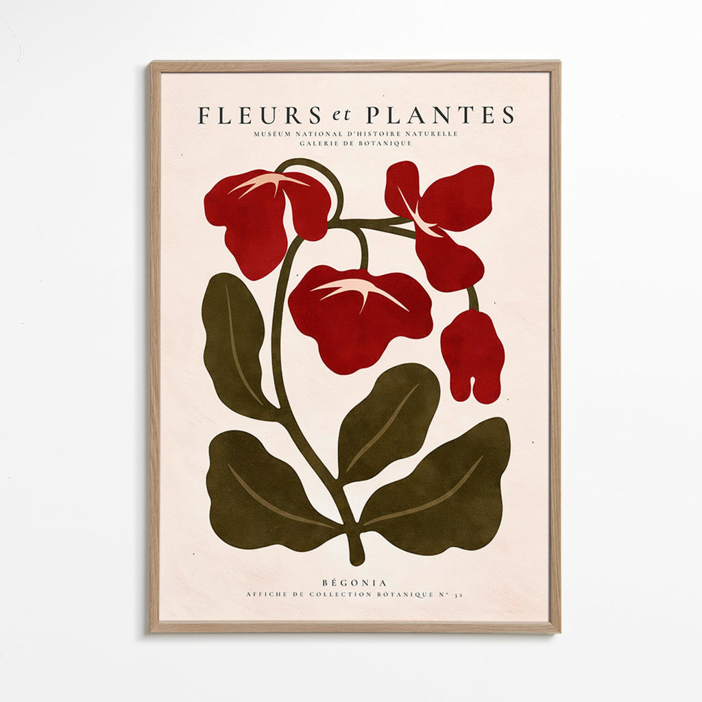 Plakat botaniczny: Czerwona begonia stylizowana