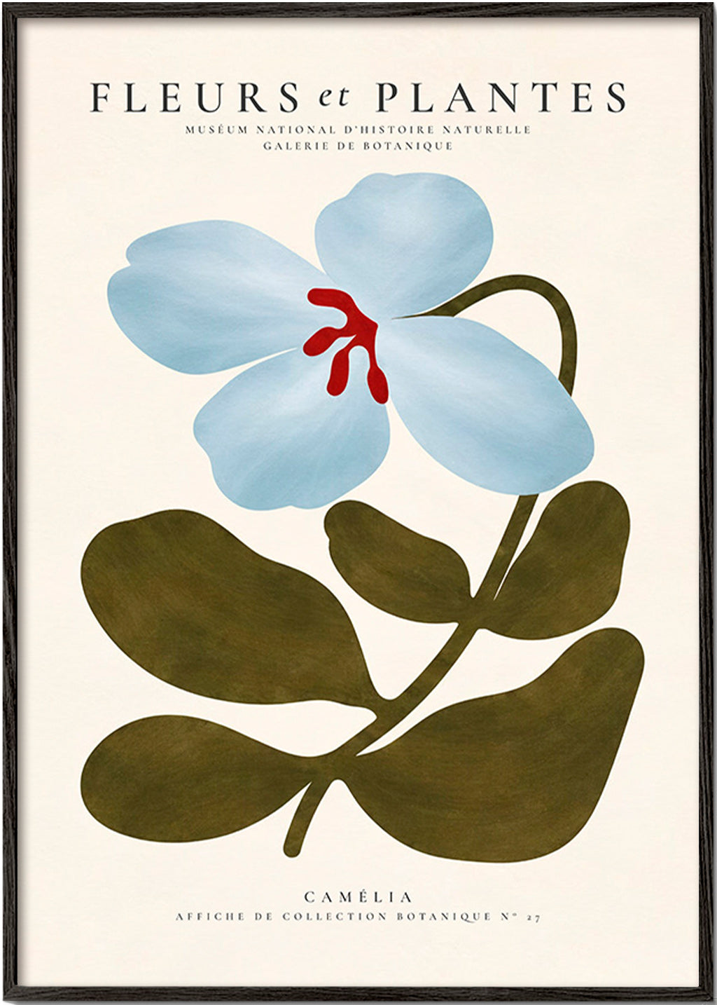Plakat botaniczny Niebieska kamelia
