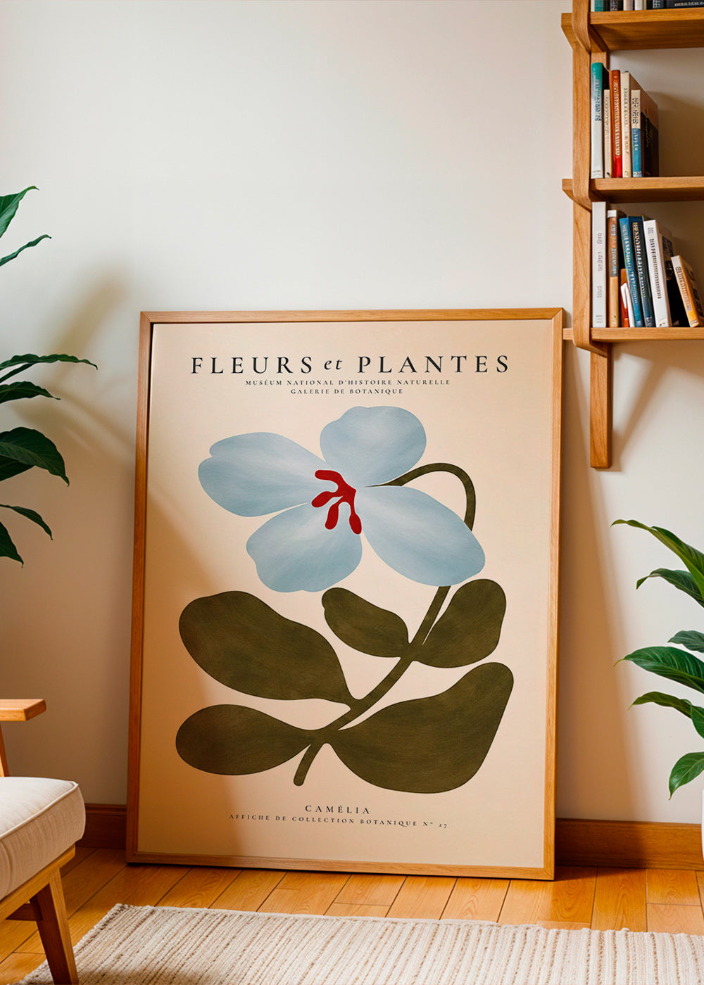 Plakat botaniczny Niebieska kamelia