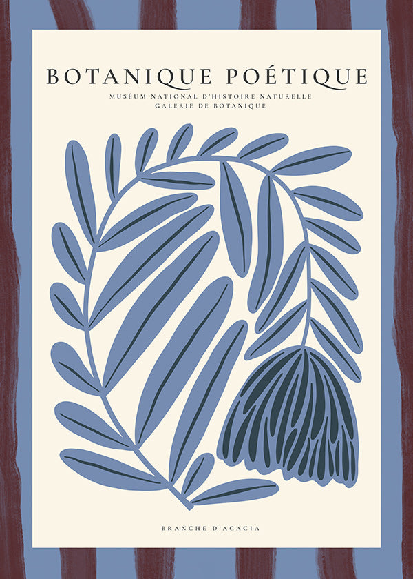 Plakat botaniczny: stylizowana niebieska akacja