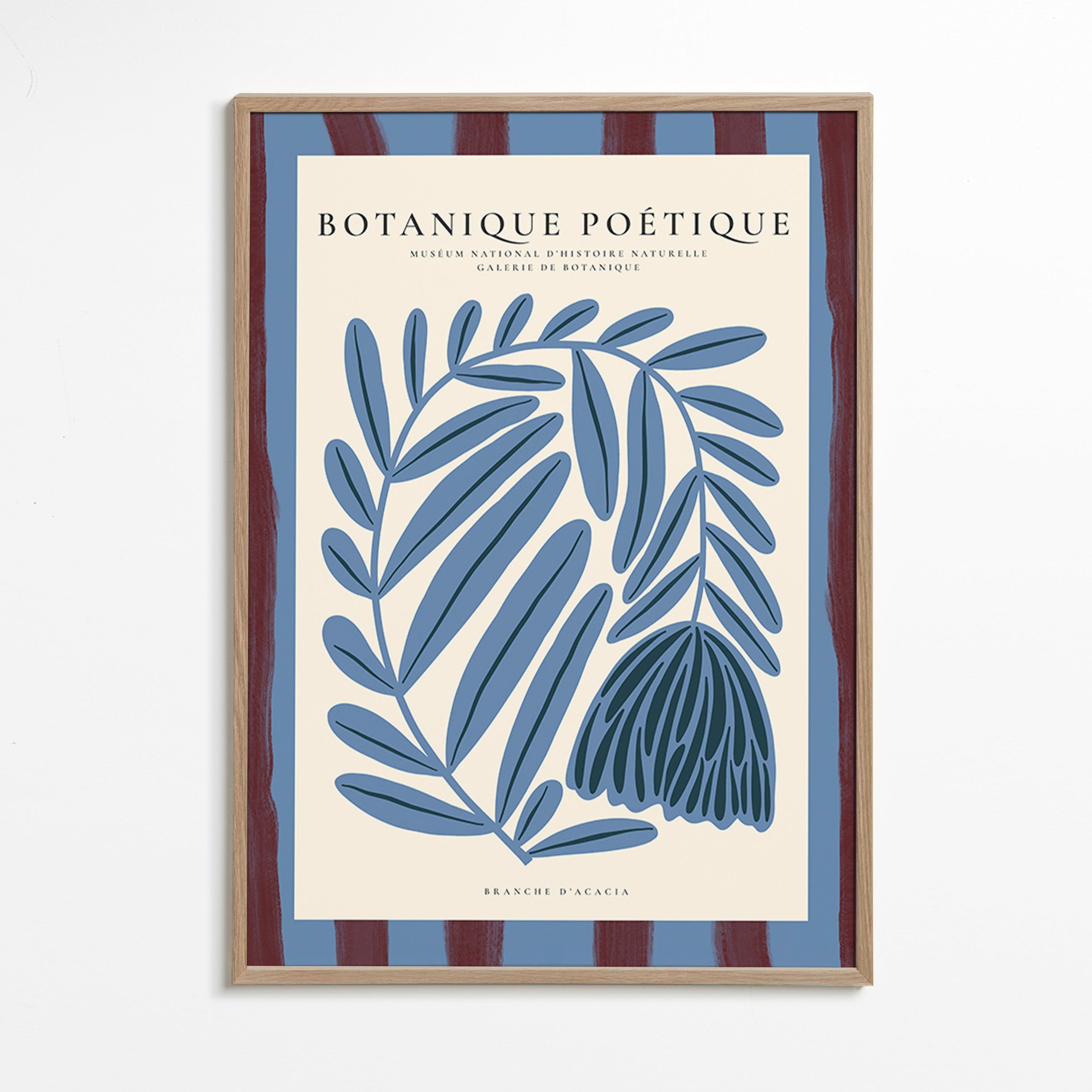 Plakat botaniczny: stylizowana niebieska akacja