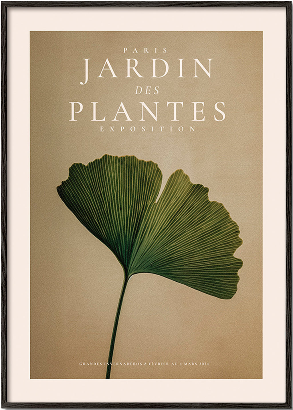 Plakat botaniczny z liściem miłorzębu i klasyczną typografią