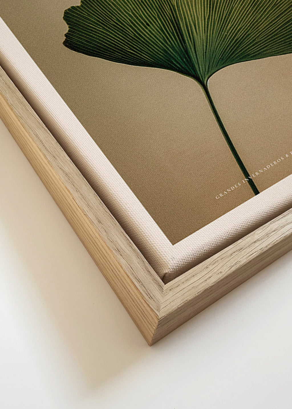 Plakat botaniczny z liściem miłorzębu i klasyczną typografią