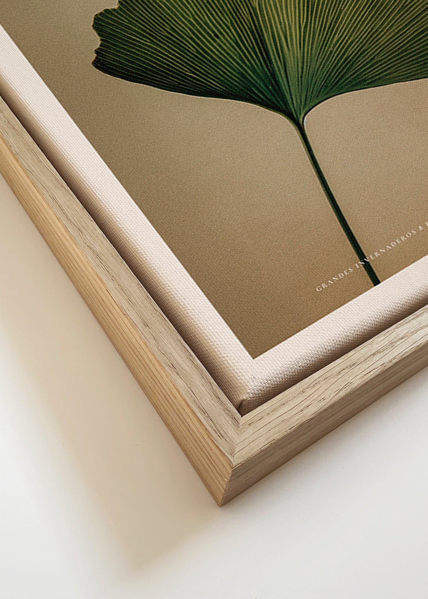Plakat botaniczny z liściem miłorzębu i klasyczną typografią