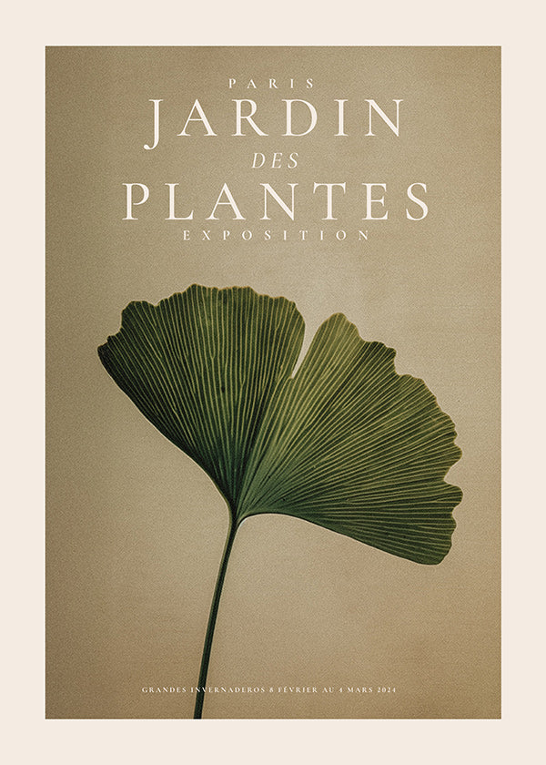 Plakat botaniczny z liściem miłorzębu i klasyczną typografią
