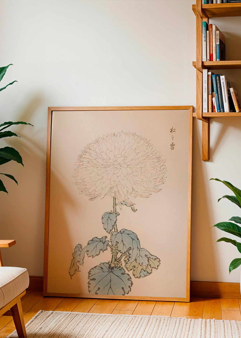 Plakat botaniczny: japońska chryzantema szczegółowo