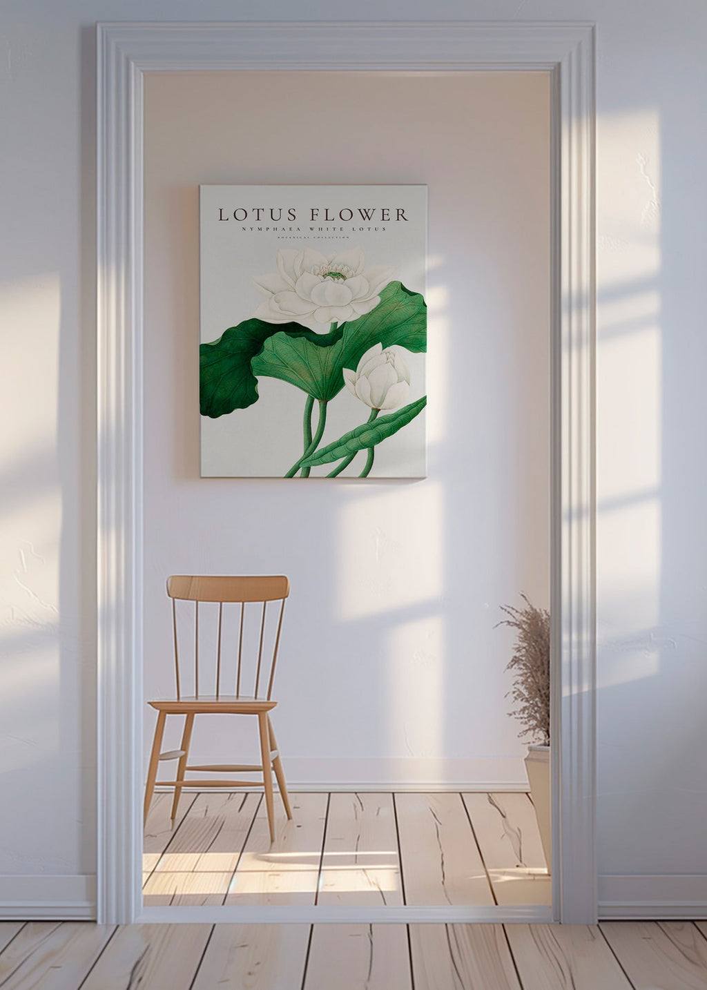 Plakat botaniczny Biały lotos studyjny