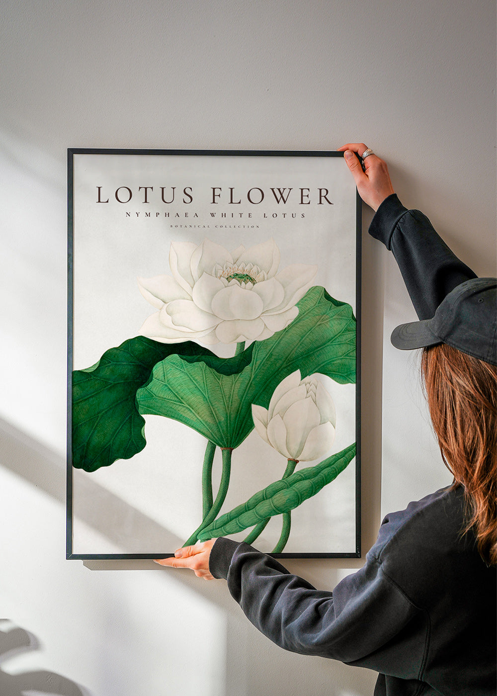 Plakat botaniczny Biały lotos studyjny